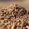 279212F4-7517-473D-A615-58BFFD5CD6E3.jpg Holzpellets Premium 65 x 15 kg