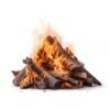 Brennholz Buche 25 cm 500 kg